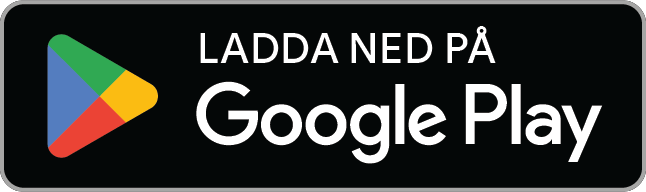 google-play-badge (1) (1)